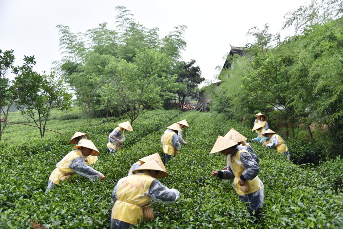说明: DSC_5700