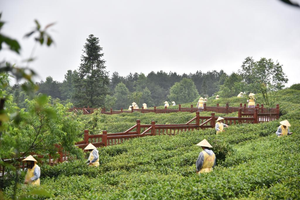 说明: 场景照