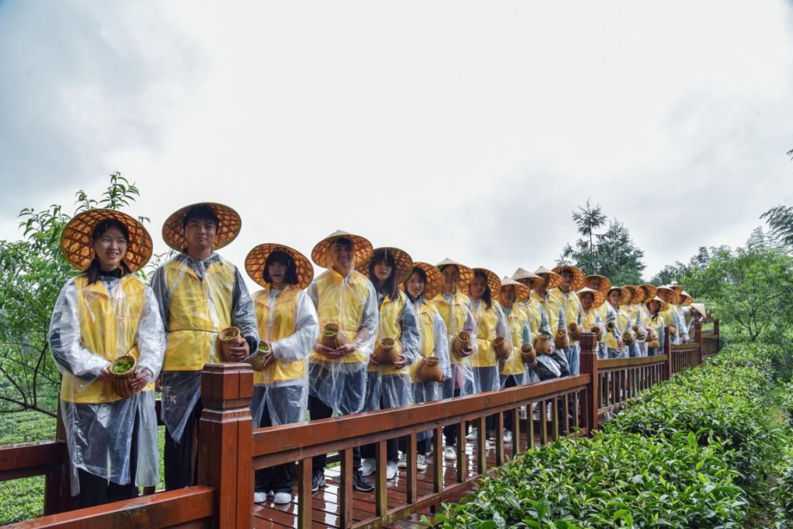 说明: DSC_6642